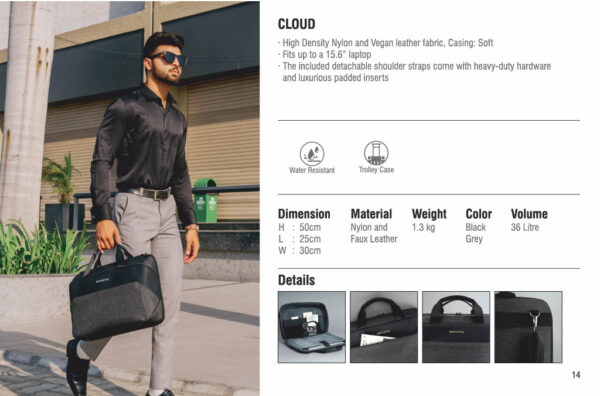 Artistix-Laptop Bag