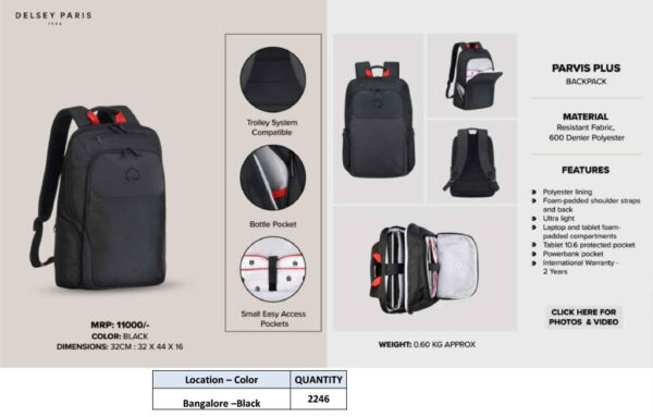 Delsey Pairs-Backpack - Image 2