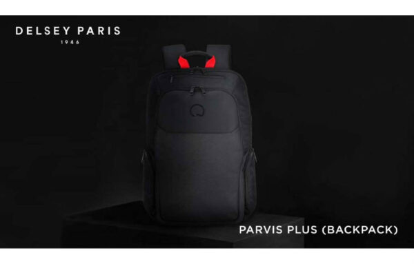 Delsey Pairs-Backpack